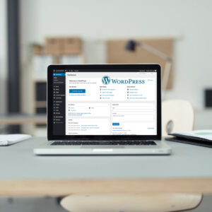 wordpress-development